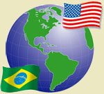 アメリカ産 綿繊維